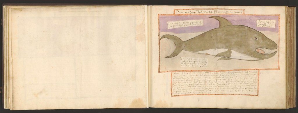 whale-book-coenensz-adriaen-p28.jpg