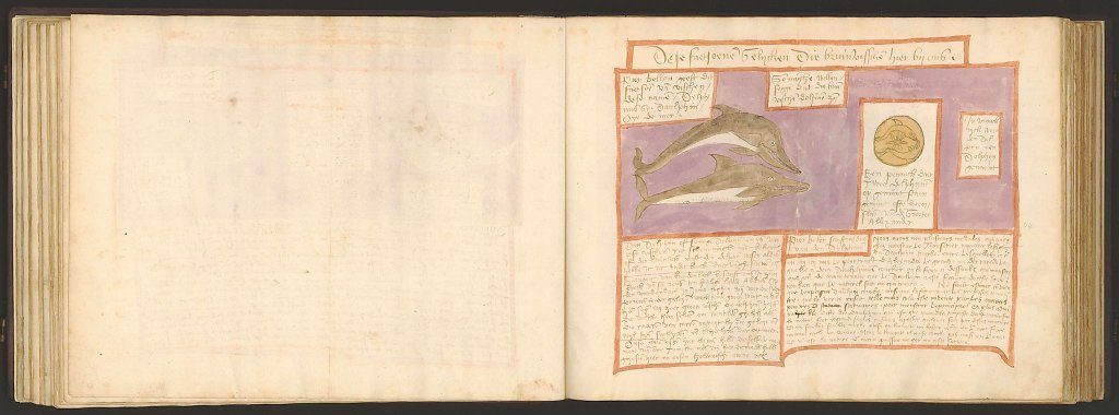whale-book-coenensz-adriaen-p51.jpg