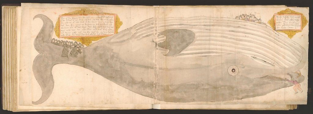 whale-book-coenensz-adriaen-p63.jpg