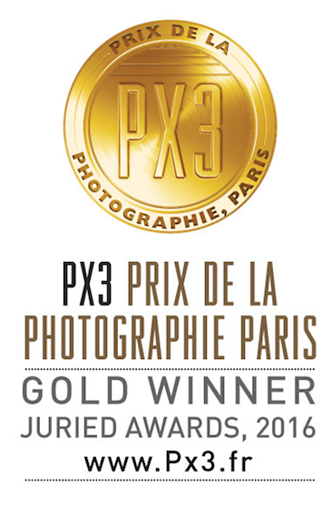 Gold-prix-de-la-photographie.png
