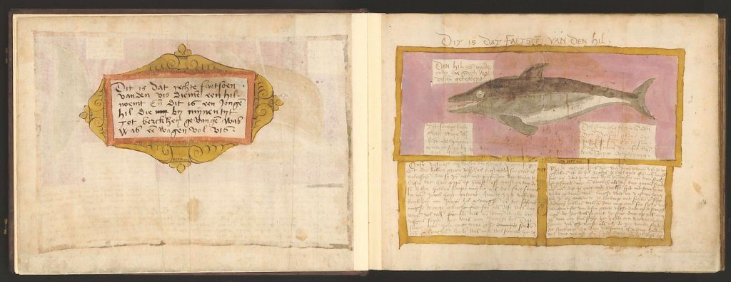 whale-book-coenensz-adriaen-p7.jpg