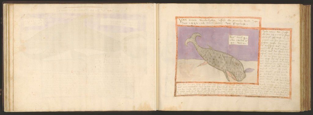 whale-book-coenensz-adriaen-p29.jpg