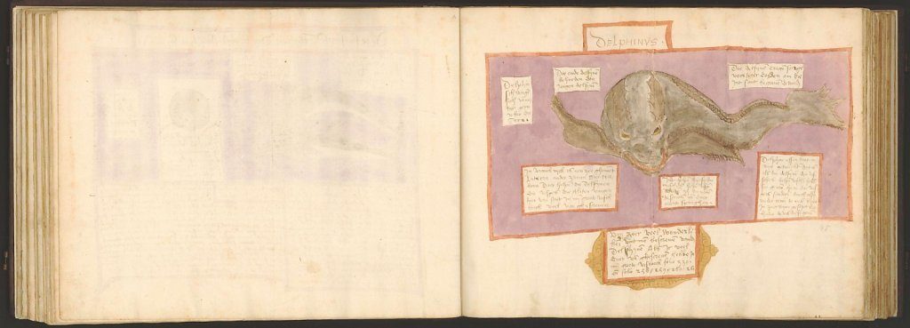 whale-book-coenensz-adriaen-p52.jpg